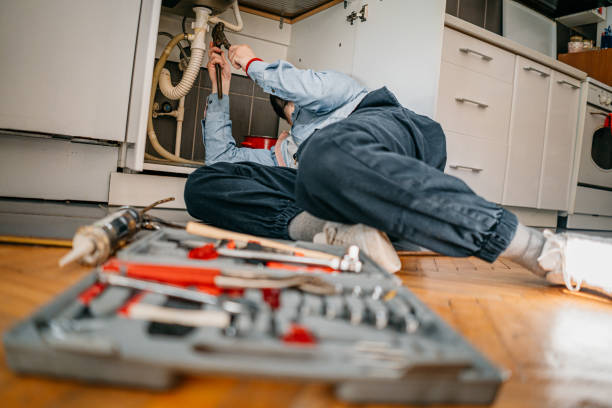 Best Residential Plumbing Services  in Williams, CA