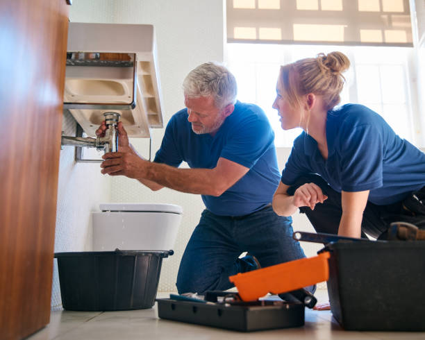 Best Local Plumber Services  in Williams, CA